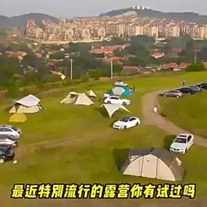 Portable Isolate Sunscreen SPF50+ Anti UV Sun Block 50ml Sun Protection Cream