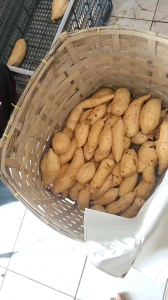 Ubi madu cilembu asli Grade A 1kg