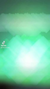 ✨ [ Một Cặp ]   Đèn Bông Sen Rời Gắn Chân Đồng Led Đổi Màu ( Có Nhiều Cở )