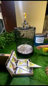 Alas Kotoran Burung Kandang Kotak No 3 UKURAN : 38 CM X 32 CM  (Perbox)