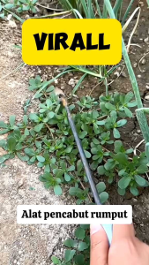ALAT PENCABUT RUMPUT LIAR BAHAN FULL BESI ALAT AERBAGUNA