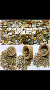Fossilized Coral Jade Purify Gravel/天然珊瑚玉消磁石