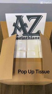 Pop up Tissue 2ply-400 sheets (Virgin Pulp)