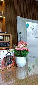 ADVANCE SPEAKER PORTABLE RBS-857 RADIO USB MEMORY BLUETOOTH