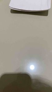 ( 6pcs )Piring Saji Sushi Melamin SINGASINGI 26x13cm Tebal Kuat Tahan Panas Elegan Anti Pecah Estetik