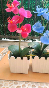 Bunga Anggrek Latex & Pot Plastik: Dekorasi Meja Rumah