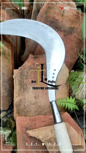 ((COD)) Arit Bintang 5 Super Lebar dan tebal Ukuran 50 Cm/Sabit Rumput Full Baja/Sabit Asli Madura/Sabit Rumput Super Tajam/Arit Tebang Tebu Super Tajam/Sabit  Rumput Baja Madu/Pande Bintang Madura/Arit Madura Jumbo /Arit Rumput Tajam Baja Asli Jawa Timur - Lazada