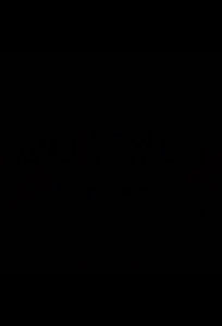 Black ice (กลิ่นแบล็คไอซ์)  | Little Trees (แผ่นเล็ก) น้ำหอมปรับอากาศ