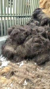 COCOFIBER SABUT KELAPA MEDIA TANAM TAMAN KEBUN SERABUT KELAPA BERSIH DAN KERING