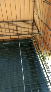 KANDANG KUCING LIPAT UKURAN 60X40 TERMURAH REDY SIAP KIRIM
