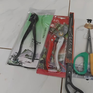 Satu Set Paket Alat Bonsai Import Set 4