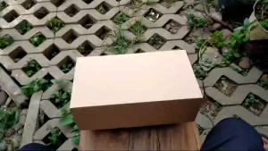 Sepatu Wanita Terbaru 2024/Sepatu Pantofel wanita/Sepatu Pantofel Paskibra Wanita/Sepatu Wanita Hak 3cm