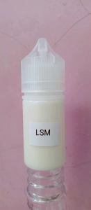 ESEN LECI STROBERI MELON UMPAN OPLOSAN IKAN MAS PATIN GALATAMA GALAPUNG HARIAN JOS