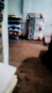 Langsung Dari Gudang Produksi: Kasur Busa High Density & Family Foam