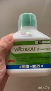 พรีวาธอน- 500 ซีซี (คลอแรนทรานิลิโพรล) กำจัดหนอนกอ หนอนใยผัก