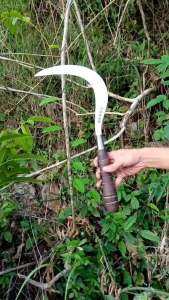 Arit Rumput Cap Bintang 5 Baja per full sepuh