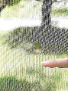 Lakban Kawat Model Jaring Anti Nyamuk Dan Serangga