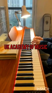 UK Exam Grade / Master Grade 88 Keys Piano Hammer Action Fully Weighted Keys + Sustain Pedal (Bluetooth)