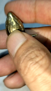 Patung bunga Wijaya Kusuma Kuningan istimewa