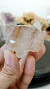 Natural Precious Red Hematoid Quartz Crystal Dragon Turtle Carved Ornament DT03