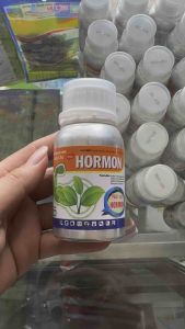 Chai 100ml Ausin Hormon kích thích sinh trưởng cực mạnh . 1 chai pha 1 phi 100lít