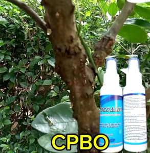 Pembasmi Hama Jeruk Fungisida Tanaman Kutu Putih Tungau Serangga Semut 100ml