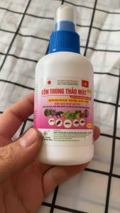 Xịt côn trùng thảo mộc - khắc tinh ruồi muỗi kiến gián ve ghẻ bọ mạt