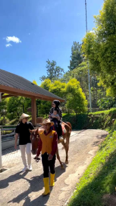 Beauty Of Angel Brightening Collagen Serum Niacinamide 20ml Mencerahkan Kulit Wajah