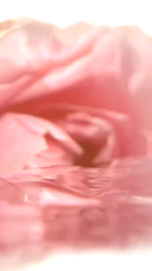 The Originote Hyalurose Micellar Water 300ml - Pembersih wajah make Up Remover Cleansing