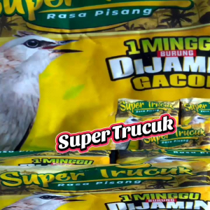 Pur Kicau & Voer Burung Kicauan: Makanan Pakan Untuk Trucuk Murai Jalak Kutilang Kacer Dll