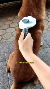 SISIR GROOMING PERAWATAN BULU HEWAN ANJING / KUCING PEMBERSIH OTOMATIS