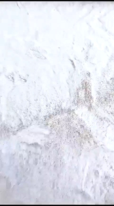 Dompet Panjang Wanita Kekinian Dompet Cantik Dompet Kondangan Import (Free box)