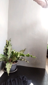 celana Oro pants knit premium Zipper Korean style