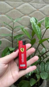 Combo 5 hộp quẹt gaz khè lửa xanh mẫu Xe hơi