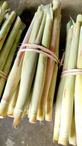 Terubuk Telur Tebu Tiwu Sayuran Turubuk Manis 500 Gram