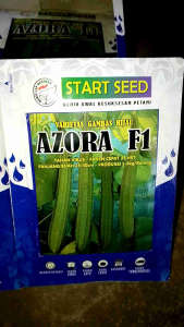 Benih Oyong AZORA F1 GAMBAS HIJAU STAR SEED