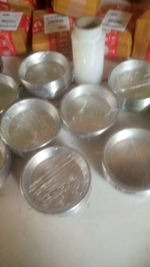 Loyang bolu lipat Loyang pizza mini 1lusin isi 12pcs