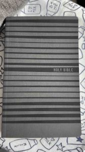 NIV Thinline Bible for boys