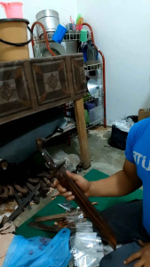 Golsem Terbaik PB 35cm Asli Jawa Timur