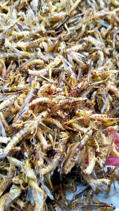 WALANG GORENG TOPLES SOSIS PANJANG 210GRAM