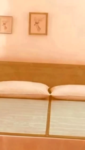 Kelambu Nyamuk Kasa Nyamuk perlengkapan Kamar tidur pencegah gigitan nyamuk / kelambu dewasa tebal