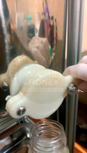 MADU MINT(BATUKPILEKASMASINUSITIS)