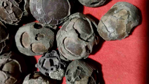 Batu Jala Sutra Motif Serat Timbul: Desain Elegan & Bahan Tahan Lama