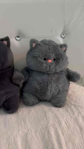 ⭐️Ready Stock⭐️有现货51cm -70cm Cute Meow plush Doll