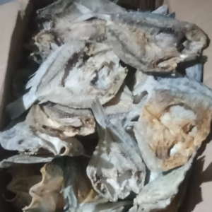 ikan asin belah gesek kepala batu kuniran campur. pasti enak harga mulai dr 1kg. ukuran campur besar n sedang. di kelolah dgn fress. kuwalitas super premium benar2 kering bukan basah
