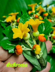 กิ๊บติดผมแฟนซี่ - กิ๊บหนีบผม ผัก ผลไม้ ดินปั้นประดิษฐ์