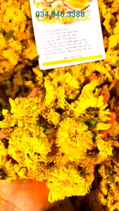 Trà hoa cúc vàng Hoàng Cúc 100g sấy khô nguyên bông hàng loại 1 tự nhiên