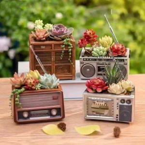 Chậu trồng cây sen đá/xương rồng nhập Trung phong cách retro