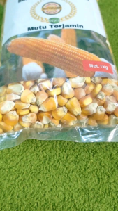 Benih Jagung Hibrida Super Unggul Kemasan 1 kg