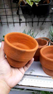 Lined Pot (3pieces for P130)